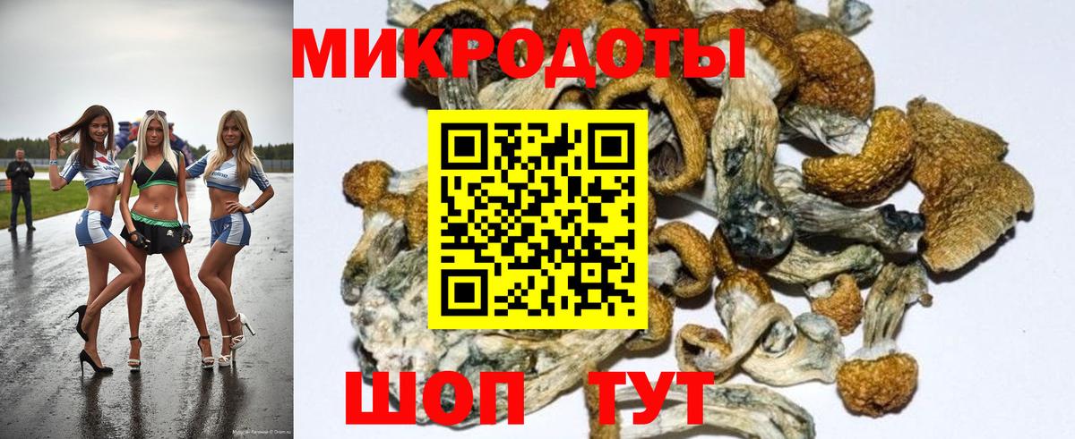 Псилоцибиновые грибы ЛСД  Вход с VPN  Галлюциногенные грибы GOLDEN TEACHER  Кумертау 
